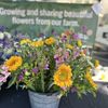 Modesto Certified Farmers' Market gift card