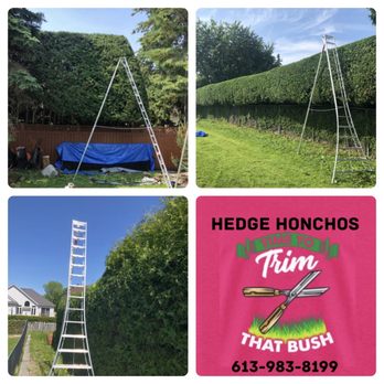 Hedge Honchos - a collage of photos of ladders - Landscaping Near Me Hedge Honchos - a collage of photos of ladders - Landscaping Near Me