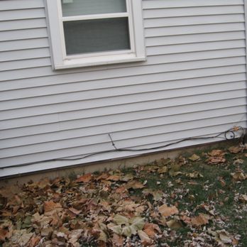 Stuart Tree Service - Tree Services Near Me - Peru, Illinois