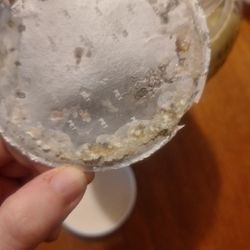 Highland's Tru Buy - Mold on Pepperoncinis lid