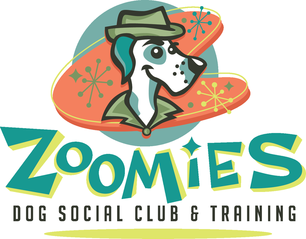 ZOOMIES DOG SOCIAL CLUB & TRAINING Updated June 2024 Crabtree, Oregon Pet Training Phone