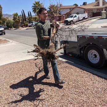 R&R Deliveries - Tree Services Near Me R&R Deliveries - Tree Services Near Me