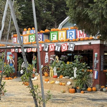 Lemos Farm - Amusement Parks Near Me - Half Moon Bay, California