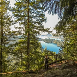 Diez  Vistas Trail - First Vista;    http://www.buntzenlake.ca/diez-vistas/