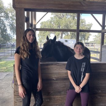 Wild Horse Rescue Center - Enjoying the day - Pet Adoption Near Me - Webster, Florida