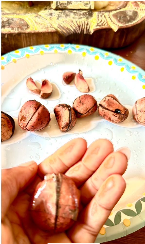 IFA Global Hmhp - social services organization in Savannah, GA