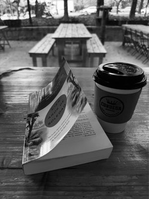 Condesa Coffee by null