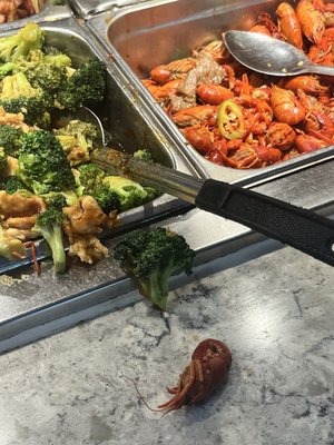 Asian Buffet by null