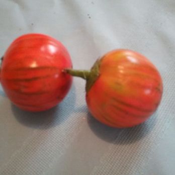 Buhrmaster Farms - Turkish eggplant - Fruits & Veggies Near Me - Scotia, New York