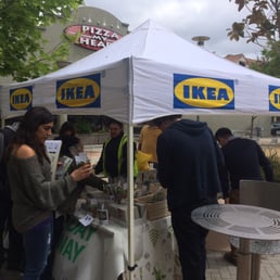 Lytton plaza - ikea plants give away - Earth Day! 4/22/2016 Lytton plaza - ikea plants give away - Earth Day! 4/22/2016