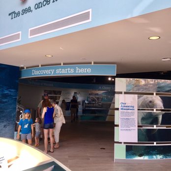 Manatee Lagoon - Aquariums Near Me - West Palm Beach, Florida Manatee Lagoon - Aquariums Near Me - West Palm Beach, Florida