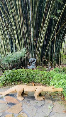 Kanapaha Botanical Gardens by null