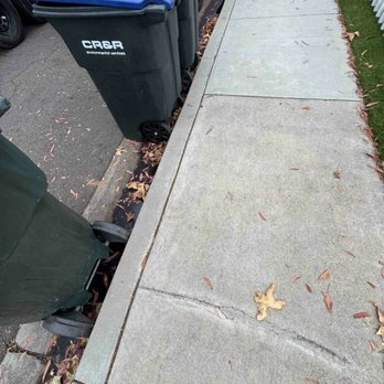 Purrfect Junk Removal - After service was completed! - Junk Removal & Hauling Near Me