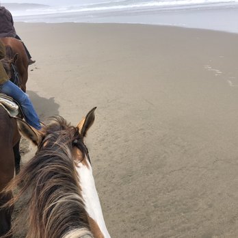 Five Brooks - Riding near the surf - Horseback Riding Near Me - Bodega Bay, California