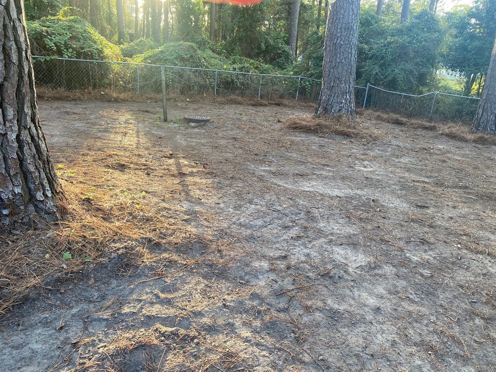MAXWELL RESIDENTIAL LAND MANAGEMENT 31 Photos Thomasville,