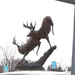 Cabela's - Just gorgeous!