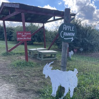 Sky Top Orchard - Apple cannon and kid space - Pick Your Own Farms Near Me - Zirconia, North Carolina