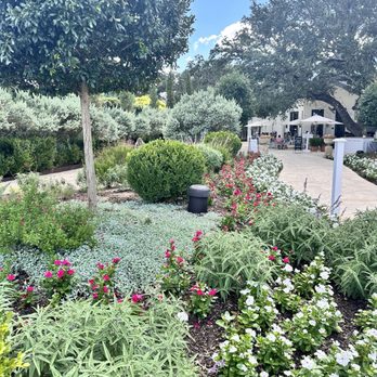 Signor Vineyards - Outdoor - Wine Tasting Room Near Me - Fredericksburg, Texas