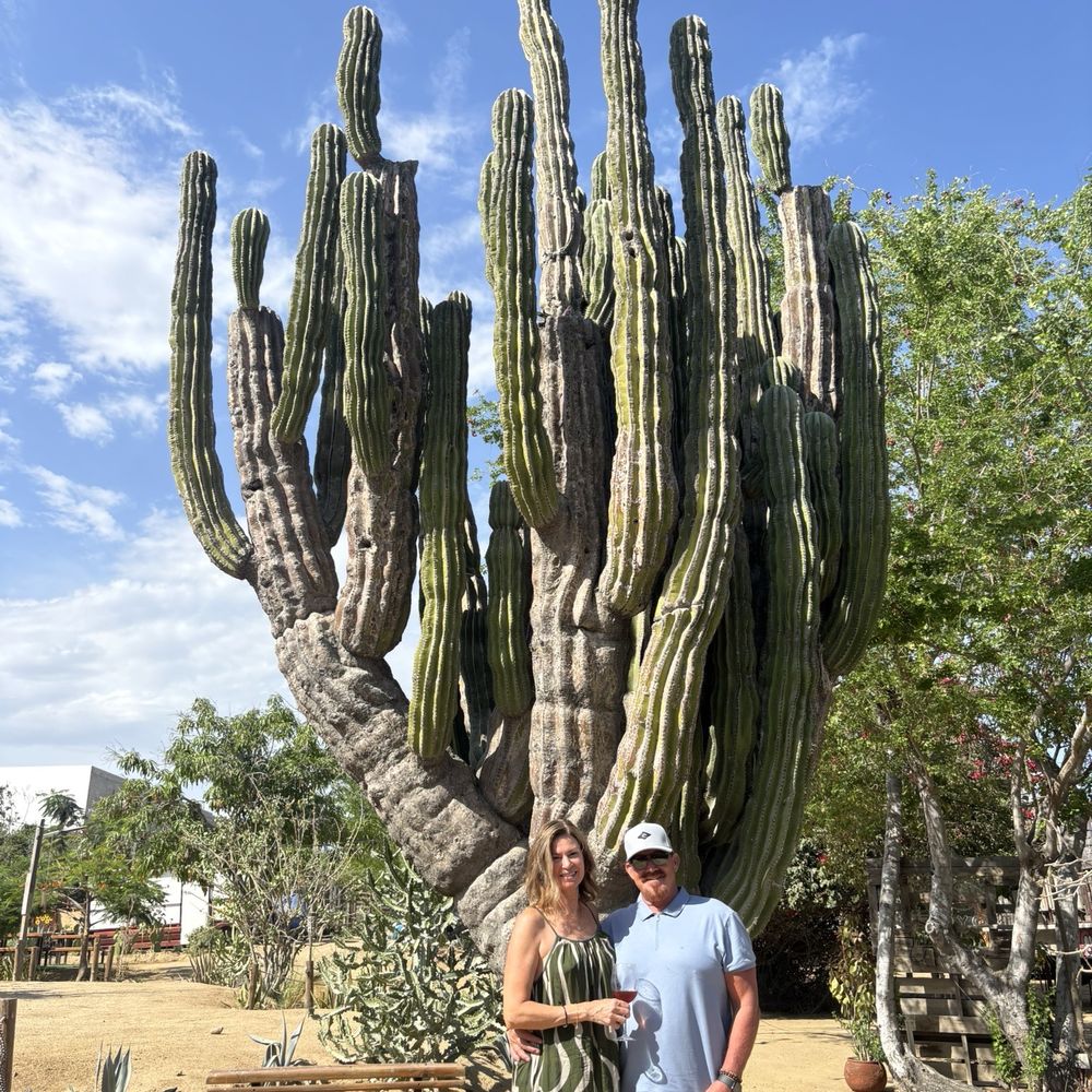 Metate - Mui grande cactus - Mexican Near Me - Cabo San Lucas, BCS Metate - Mui grande cactus - Mexican Near Me - Cabo San Lucas, BCS