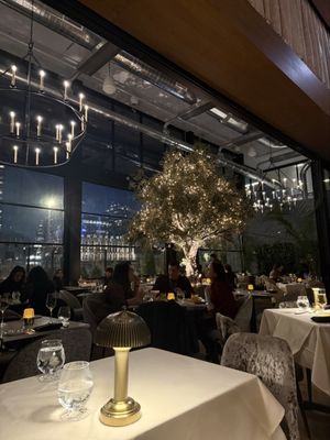 Adalina Prime by null