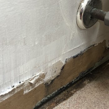 Animal Motel - Black mold behind toilet in women's bathroom. - Pet Stores Near Me - Butler, Wisconsin Animal Motel - Black mold behind toilet in women's bathroom. - Pet Stores Near Me - Butler, Wisconsin