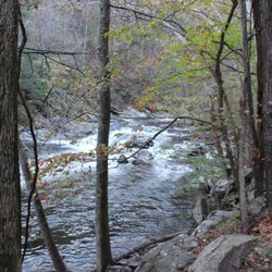 Baby Falls