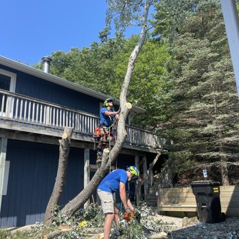 Safe Home Tree Removal - Tree Services Near Me - Ludington, Michigan Safe Home Tree Removal - Tree Services Near Me - Ludington, Michigan