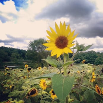 Lyman Orchards - Fruits & Veggies Near Me - Middlefield, Connecticut