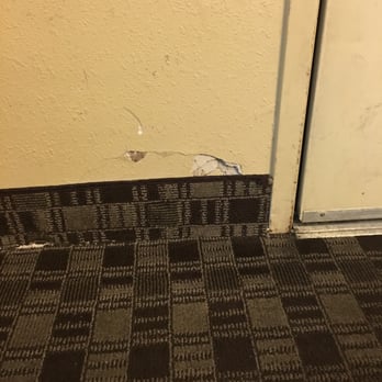 Quality Inn - Hole by door - Hotels Near Me - Lebanon, Tennessee