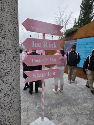 Skate at Domino Park by null