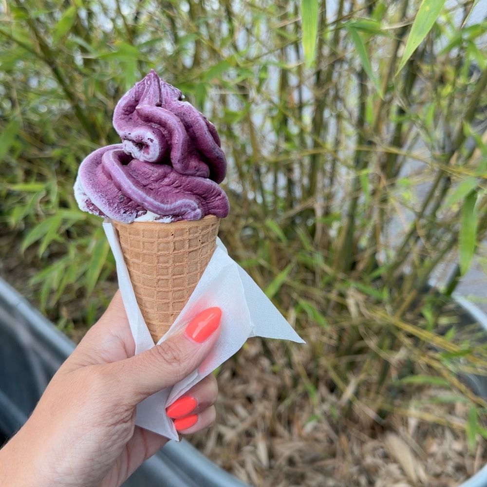 Beaux Berry - Marionberry in a sugar cone! - Ice Cream & Frozen Yogurt Near Me - Portland, Oregon Beaux Berry - Marionberry in a sugar cone! - Ice Cream & Frozen Yogurt Near Me - Portland, Oregon