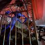 C Green’s Haunted History House And Museum