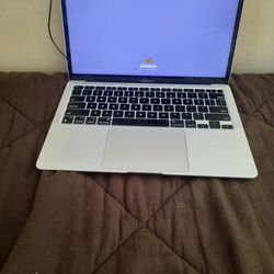 Lindauer Mac Consulting