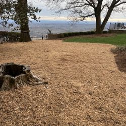 L & C Lawncare