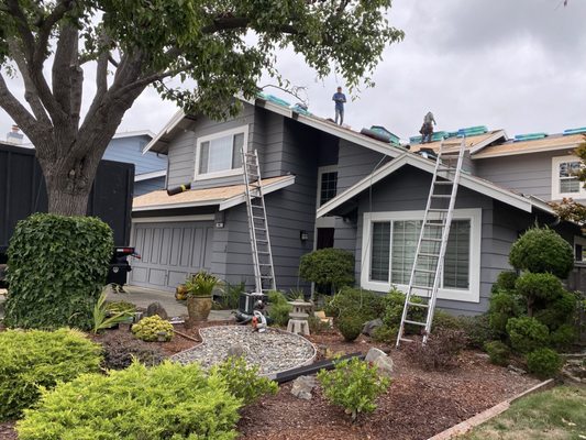 Ridout Roofing