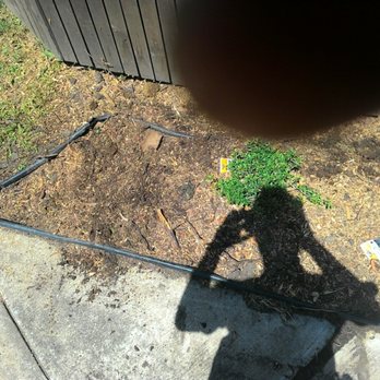 Adams Tree Service - Stump grinding with great clean up - Tree Services Near Me