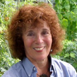 Susan Lee Bady - Susan Lee Bady, Psychotherapist