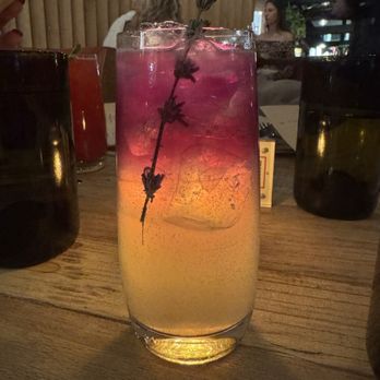 Gypsy Kitchen DC - Tapas/Small Plates Near Me - Washington, DC, District of Columbia