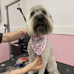 Woof Gang Bakery & Grooming