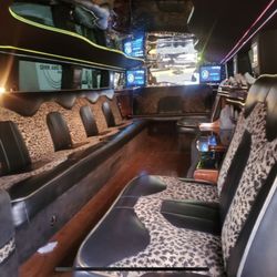 Bella Rose Party Bus and Limousine Service