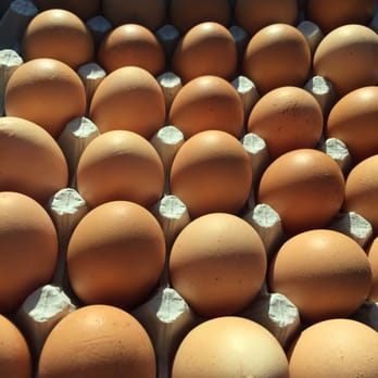 Billy's Egg Farm - Ex large brown eggs will have to do. No jumbos.....**sniffle** - Specialty Food Near Me - Chino, California Billy's Egg Farm - Ex large brown eggs will have to do. No jumbos.....**sniffle** - Specialty Food Near Me - Chino, California