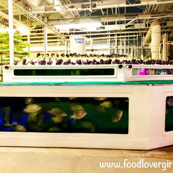 Living With The Land - Amusement Parks Near Me - Orlando, Florida Living With The Land - Amusement Parks Near Me - Orlando, Florida