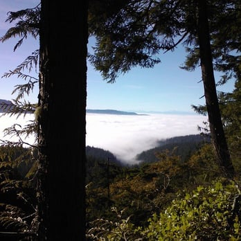 Wallace Falls State Park - hiking above the fog - Parks Near Me - Gold Bar, Washington Wallace Falls State Park - hiking above the fog - Parks Near Me - Gold Bar, Washington