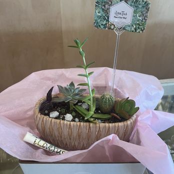 ILoveTus Succulents - Planter - Nurseries & Gardening Near Me - Los Angeles, California