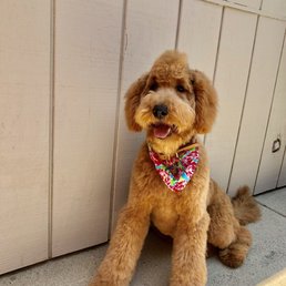 indie always comes home looking stylish! indie always comes home looking stylish!