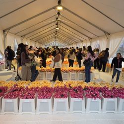Rockefeller Center - Flower Market