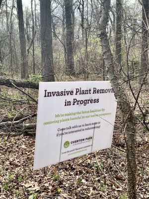 Overton Park by null