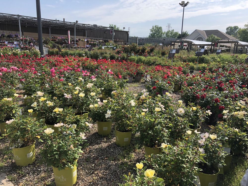 STEIN’S GARDEN & HOME 13 Photos & 20 Reviews 3725 S 108th St