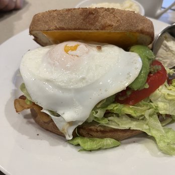 Wild Eggs - ACE of a BLT - Breakfast & Brunch Near Me - Lexington, Kentucky Wild Eggs - ACE of a BLT - Breakfast & Brunch Near Me - Lexington, Kentucky