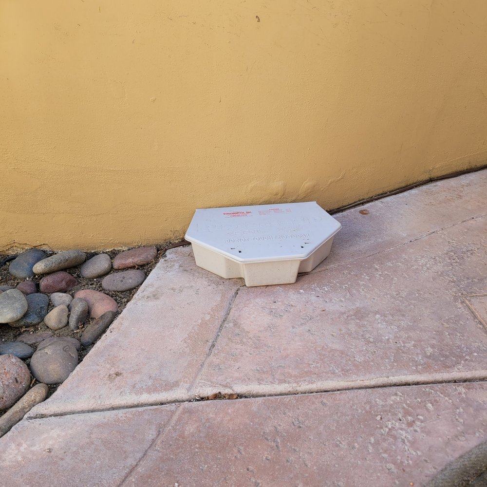 Dunphy's Extermapest - No more rats for awhile now! - Pest Control Near Me - Indio, California Dunphy's Extermapest - No more rats for awhile now! - Pest Control Near Me - Indio, California